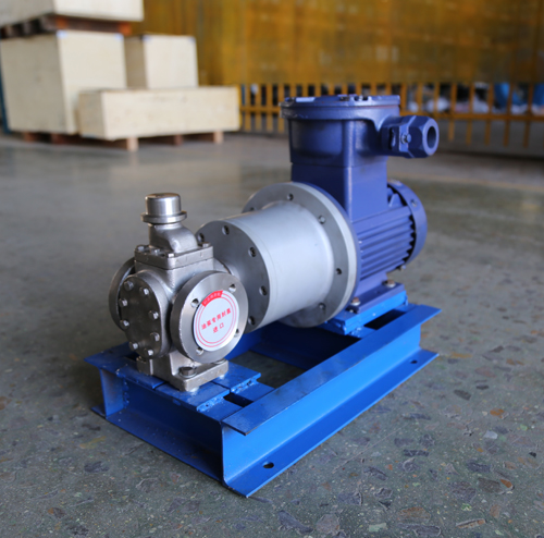 圓弧齒輪泵YCB10-1.6整機、配磁力聯(lián)軸器.JPG